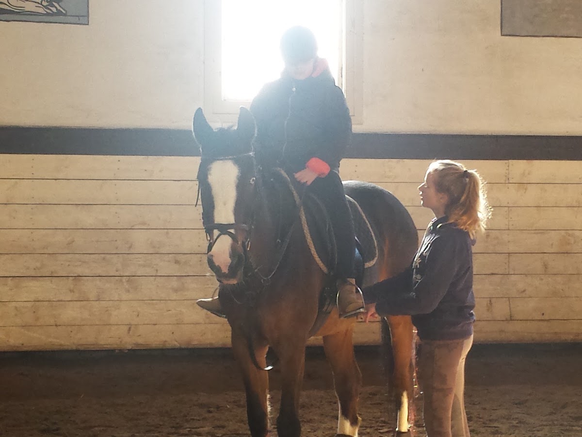 Manege 's-Gravenhaagsche Stadsrijschool 3