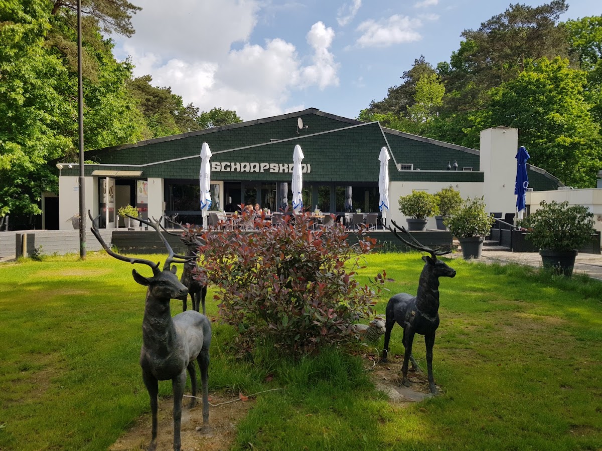 Sport & Health Club de Schaapskooi 3