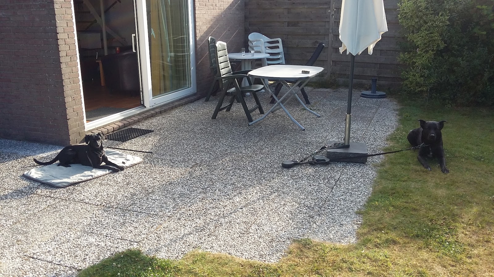 Lawn Tennisclub Scharendijke 2