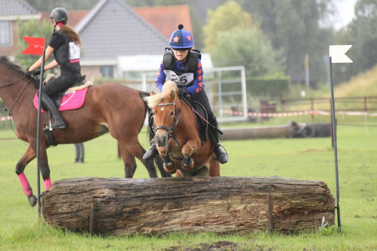 Manege Hippisch Centrum Nootdorp 2