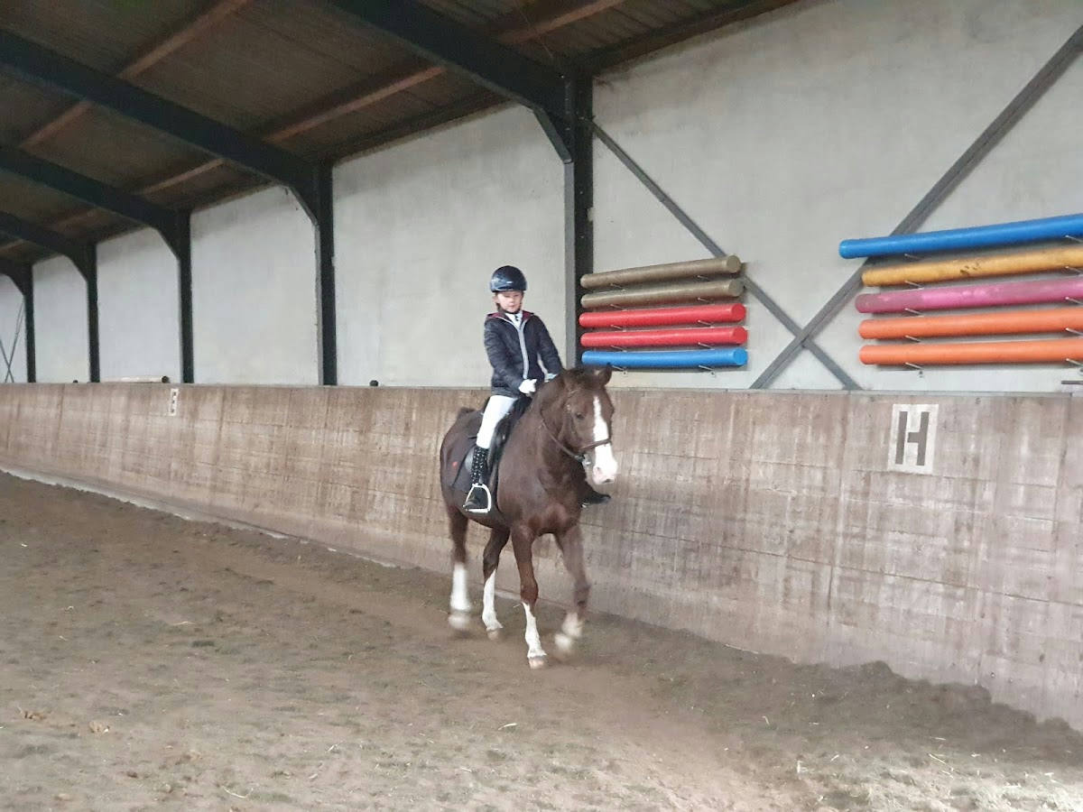 Manege Hooidonk 2