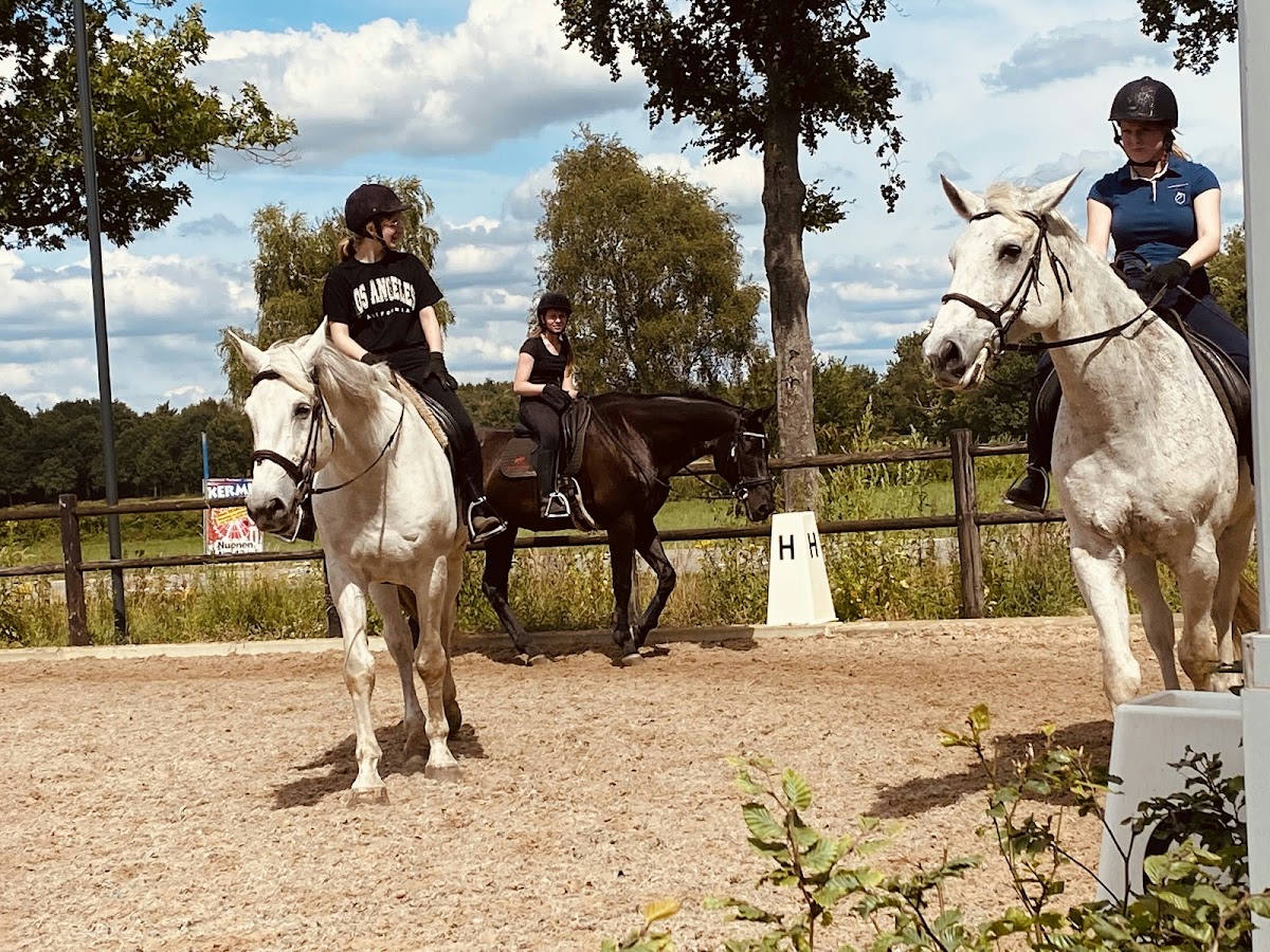 Manege Hooidonk 3