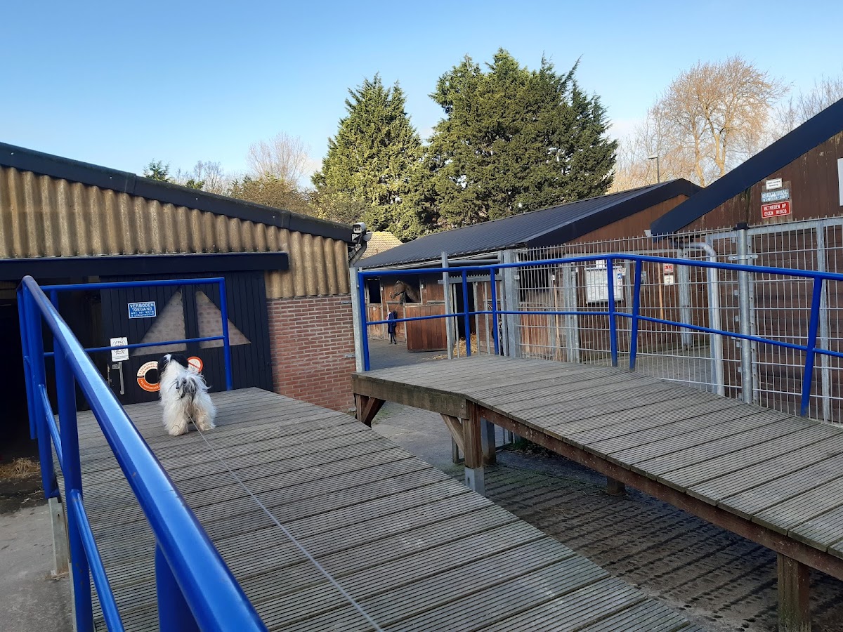 Manege De Wildhoef 2