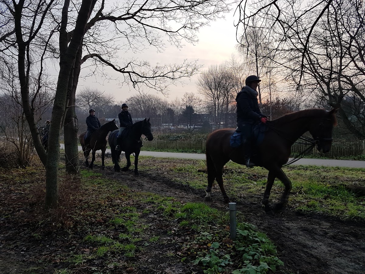Manege De Wildhoef 3