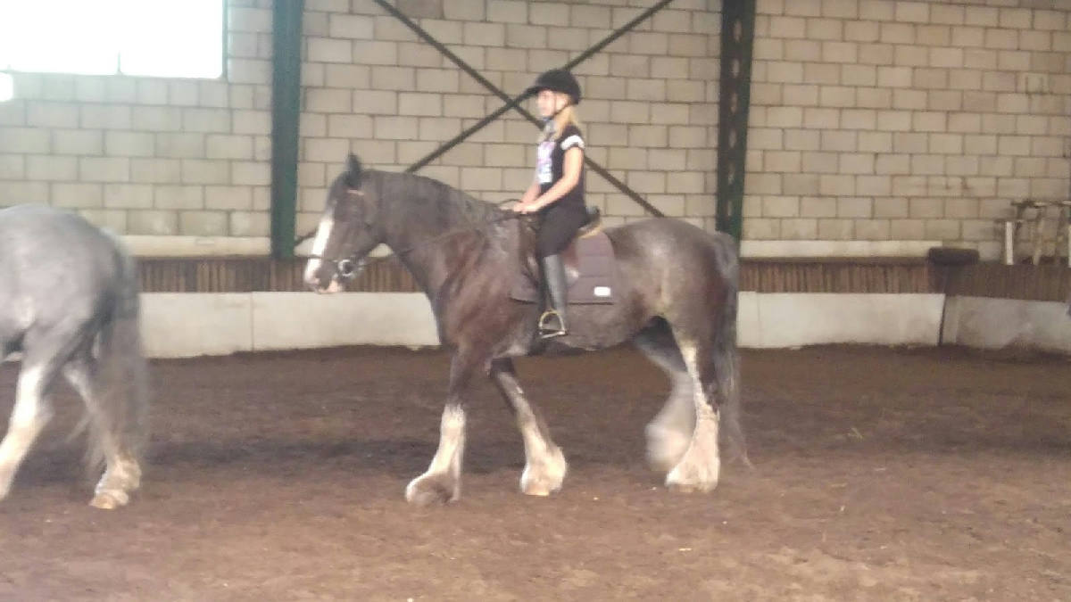 Legmeer Manege