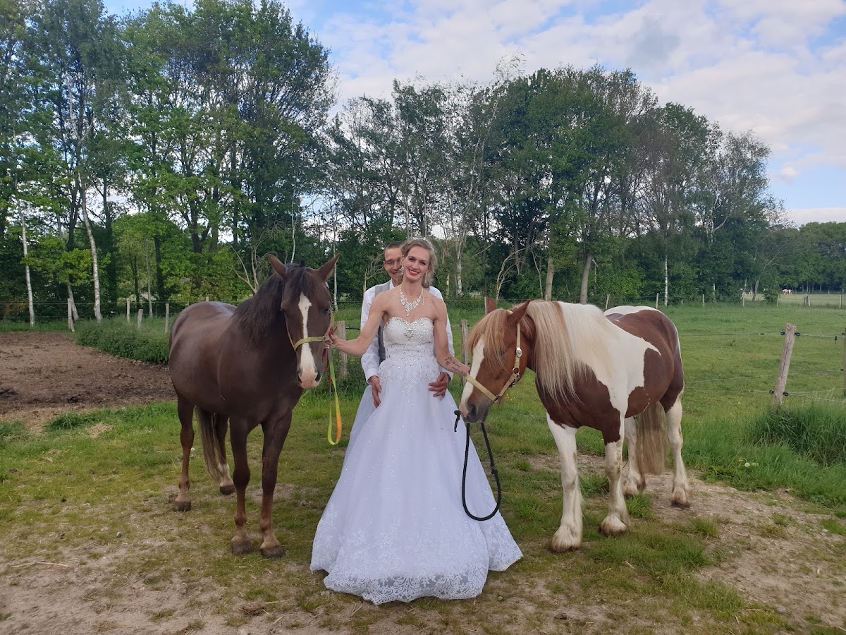 Manege Veerkracht 3