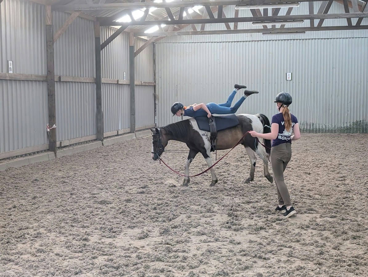 Ponystal Banjer