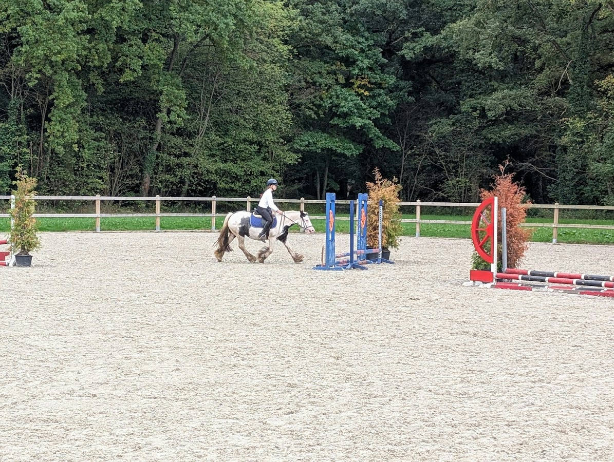 Ponystal Banjer 2