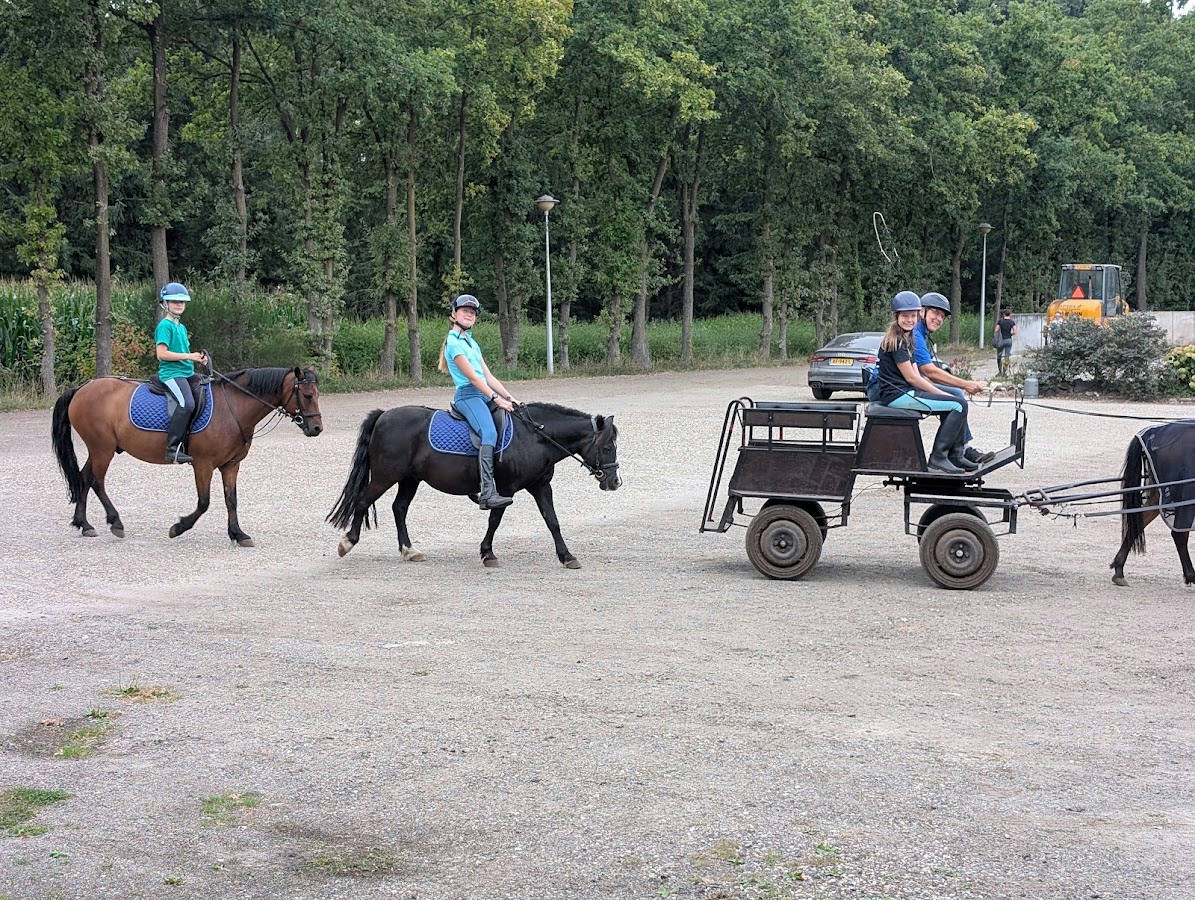 Ponystal Banjer 3