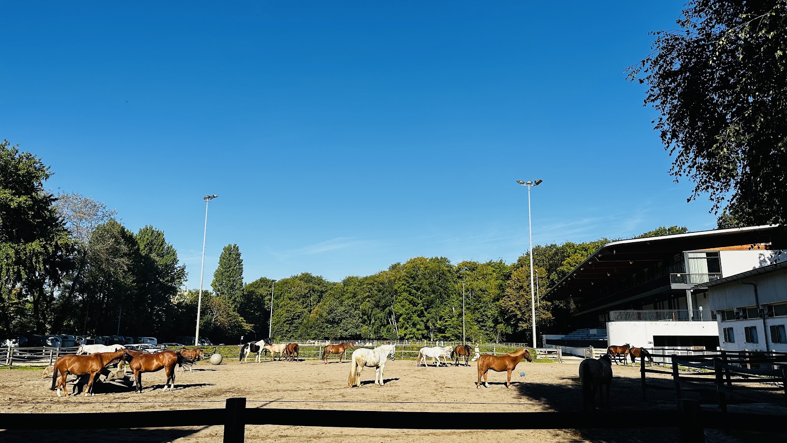 Manege De Jockey Club 2
