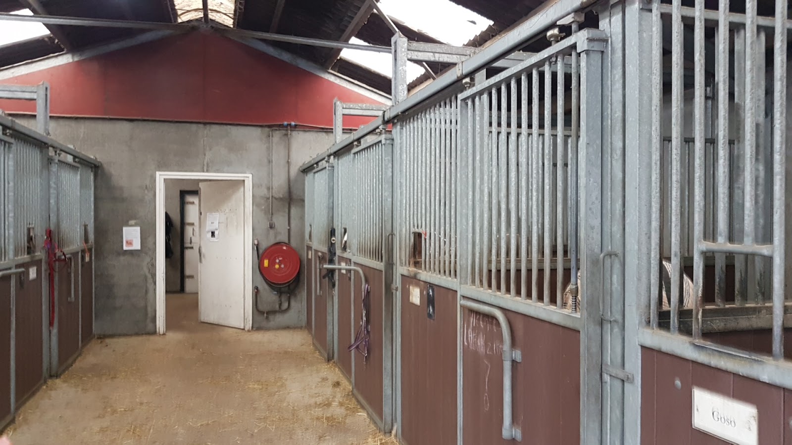 Stichting Manege De Ruif