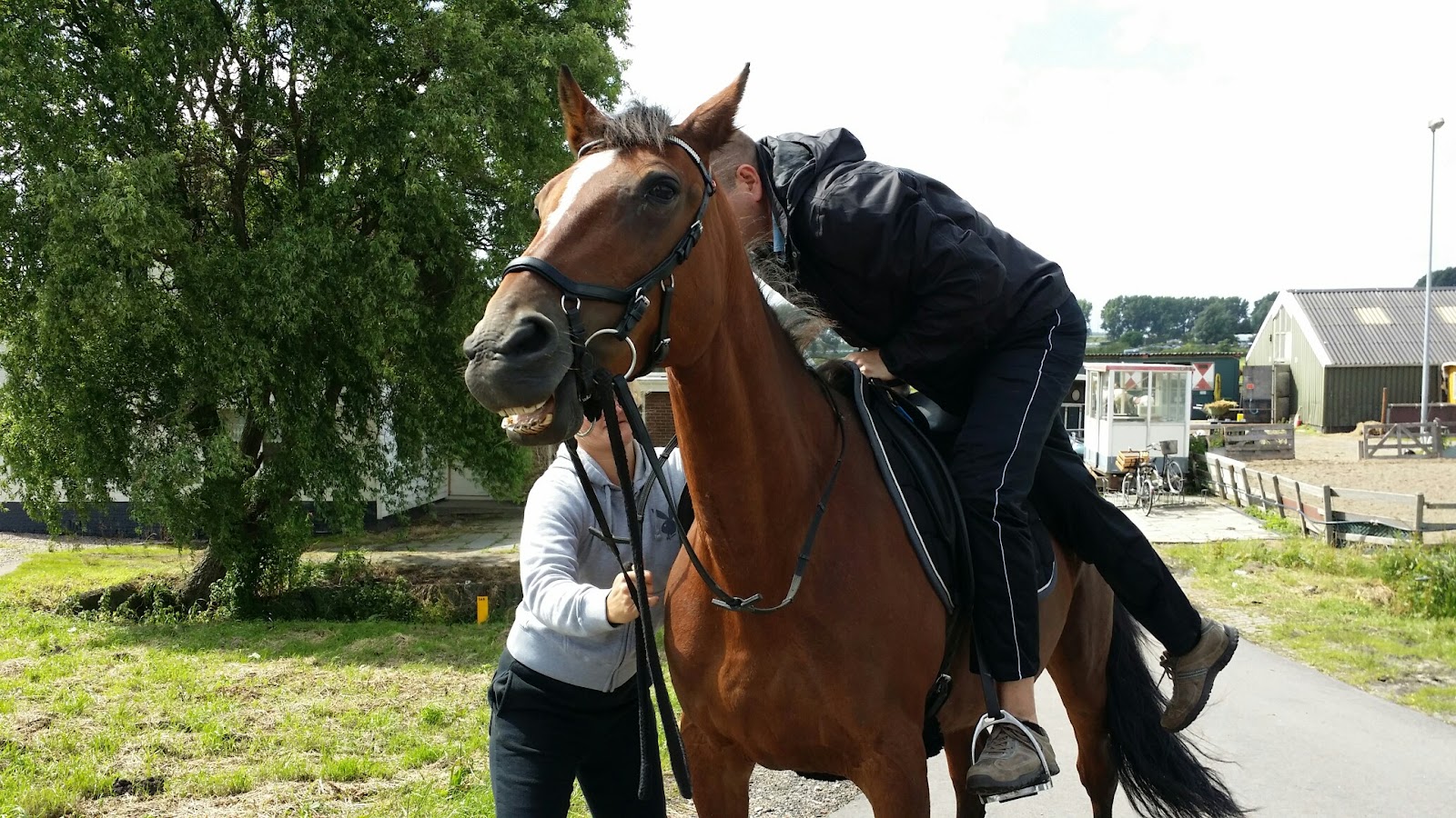 Stichting het Molenpaardje 2