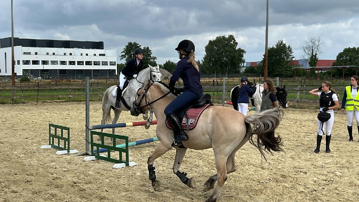 Vereniging Ponystal Hengelo 2