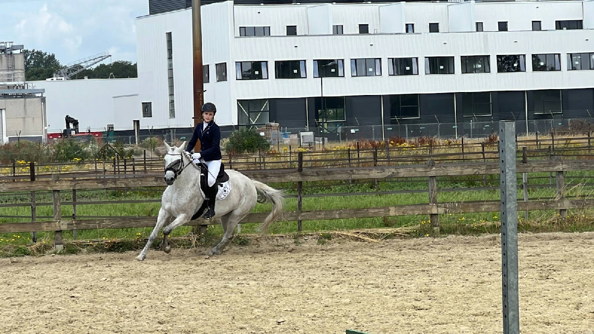 Vereniging Ponystal Hengelo 3