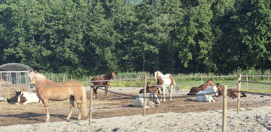 Hippisch Centrum Perier (HC Perier) 2