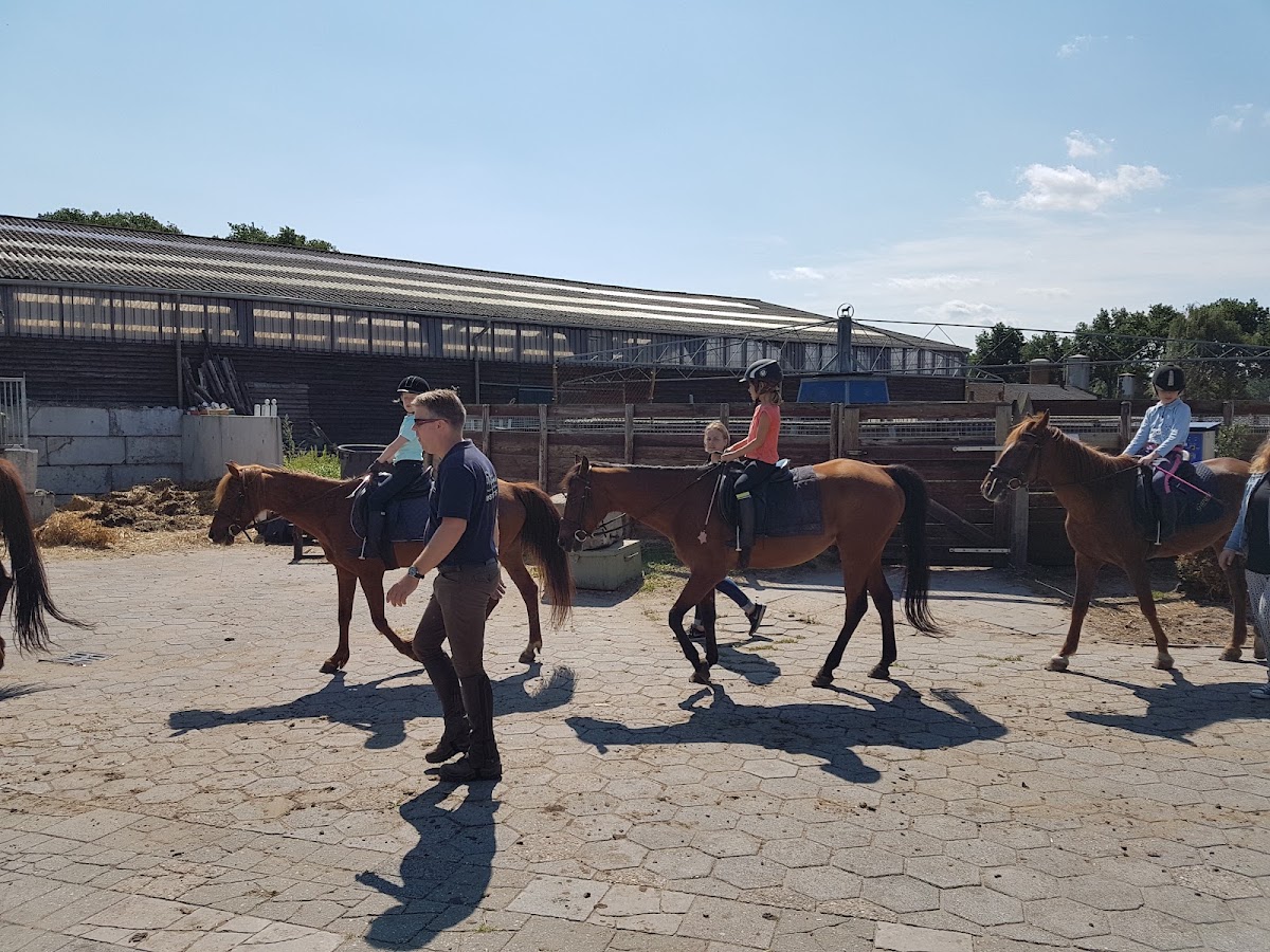 Manege 't Zandeind / Stal van der Weide 2