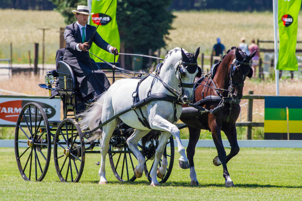 Riant Equestrian Centre 2