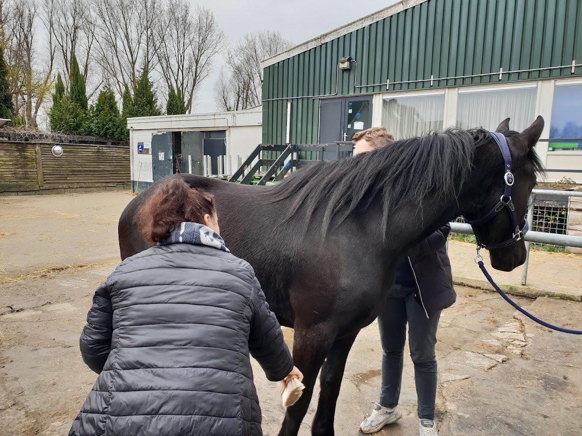 Manege De Drechterweide 2