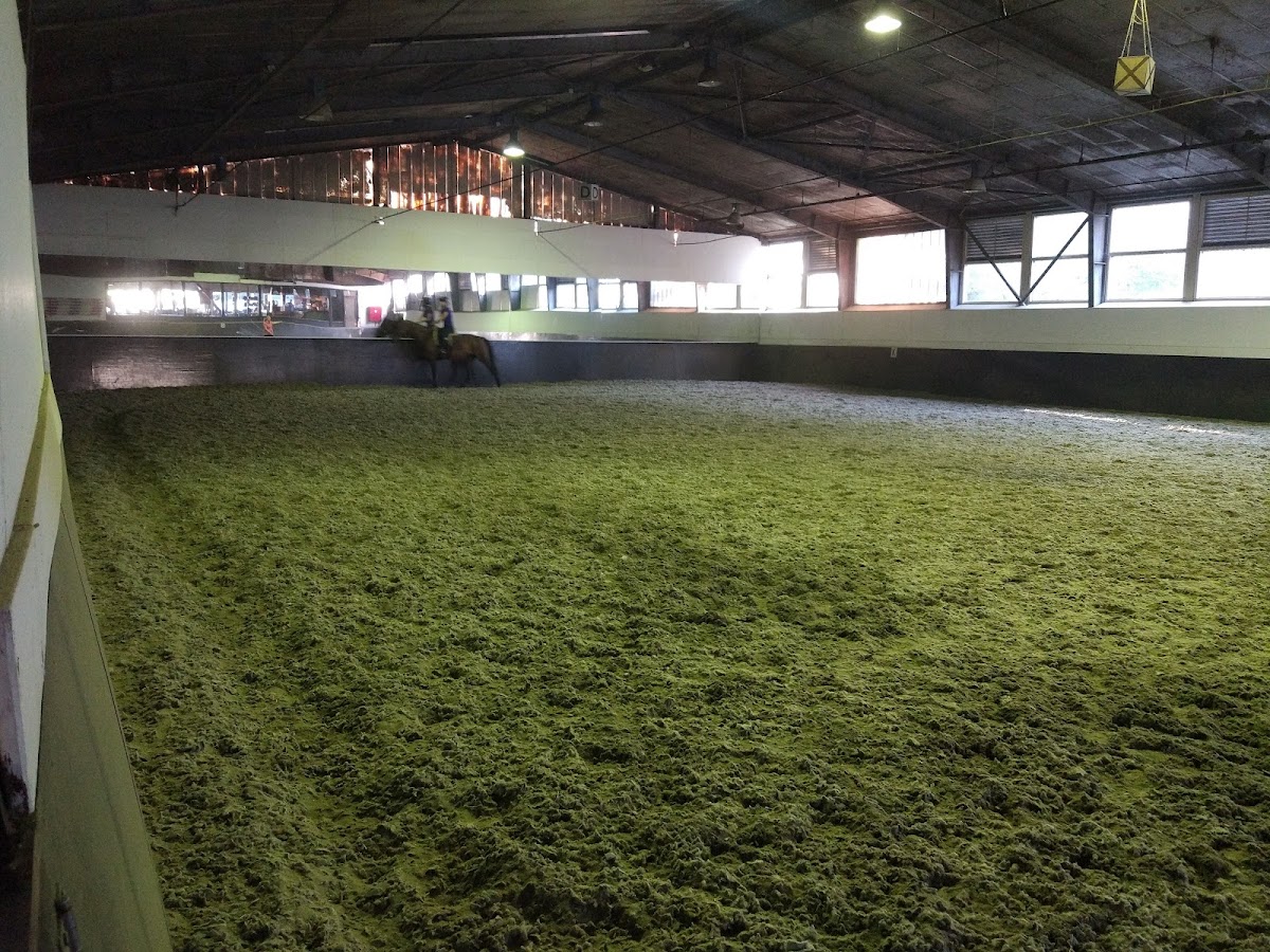 Manege De Drechterweide 3