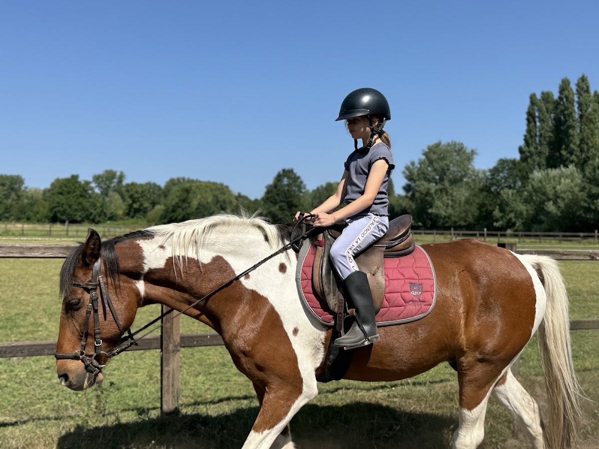 Eerste Eindhovense Pony Manege V.O.F. 3