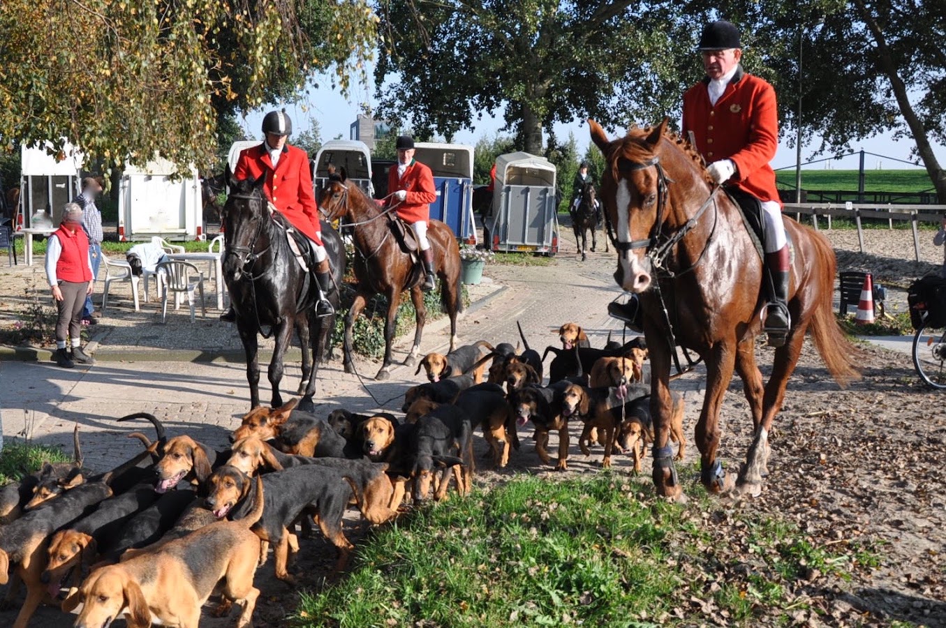 Schouten Hippique B.V. 2