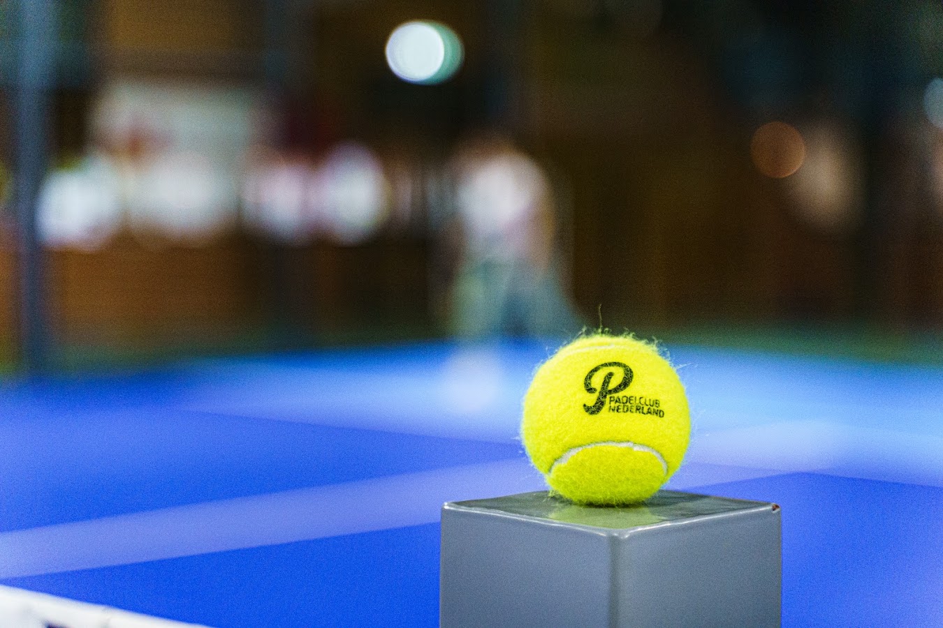 Padelclub Nederland locatie Wervershoof 2