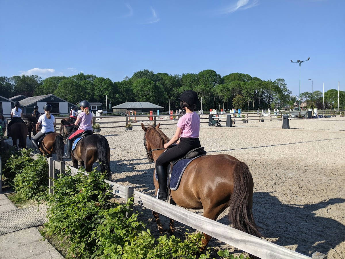 Manege Zilfia's Hoeve 3
