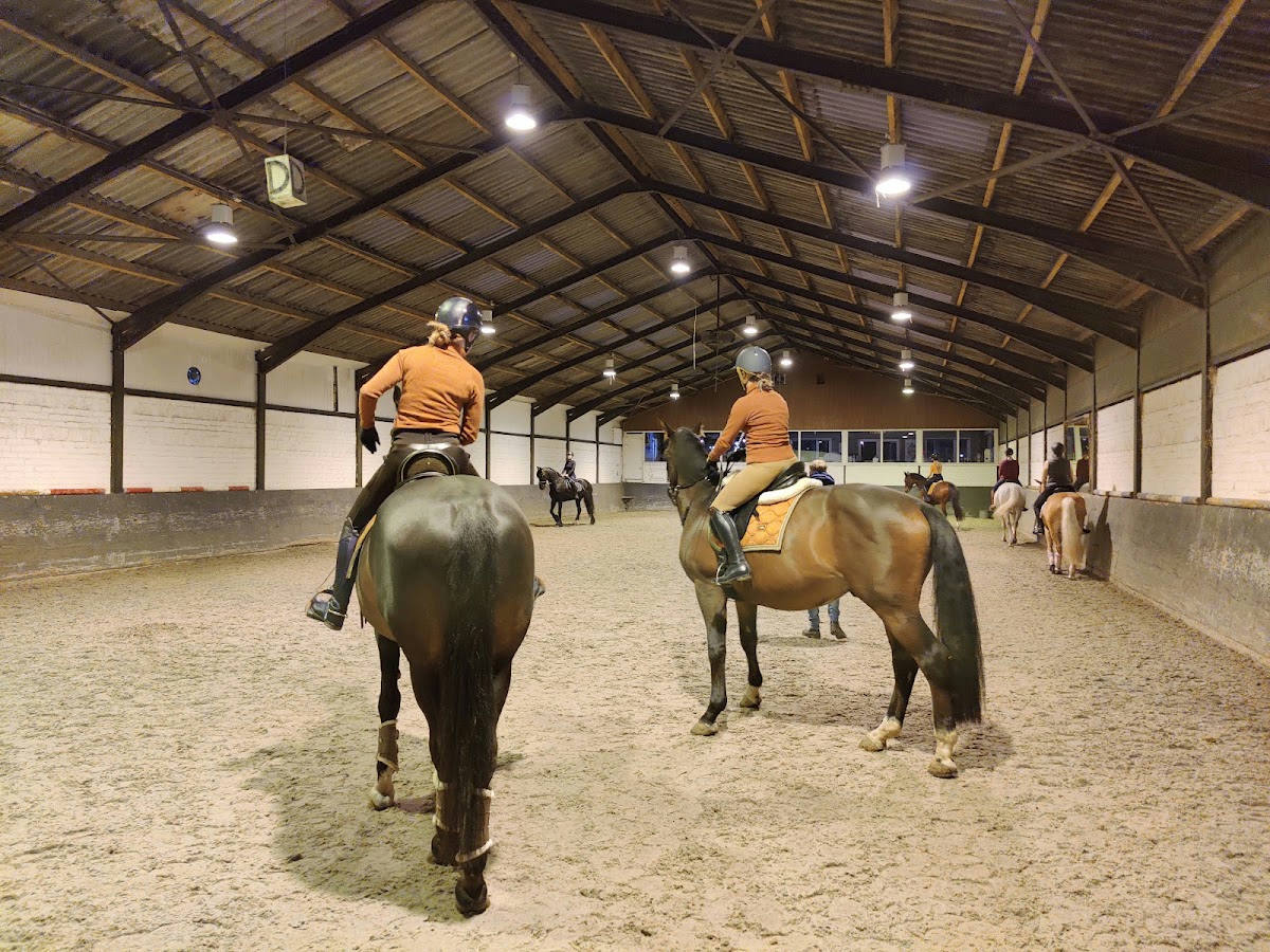 Paardencentrum Heihof 2