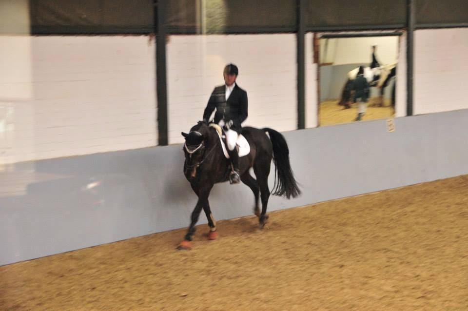 Paardencentrum Heihof 3