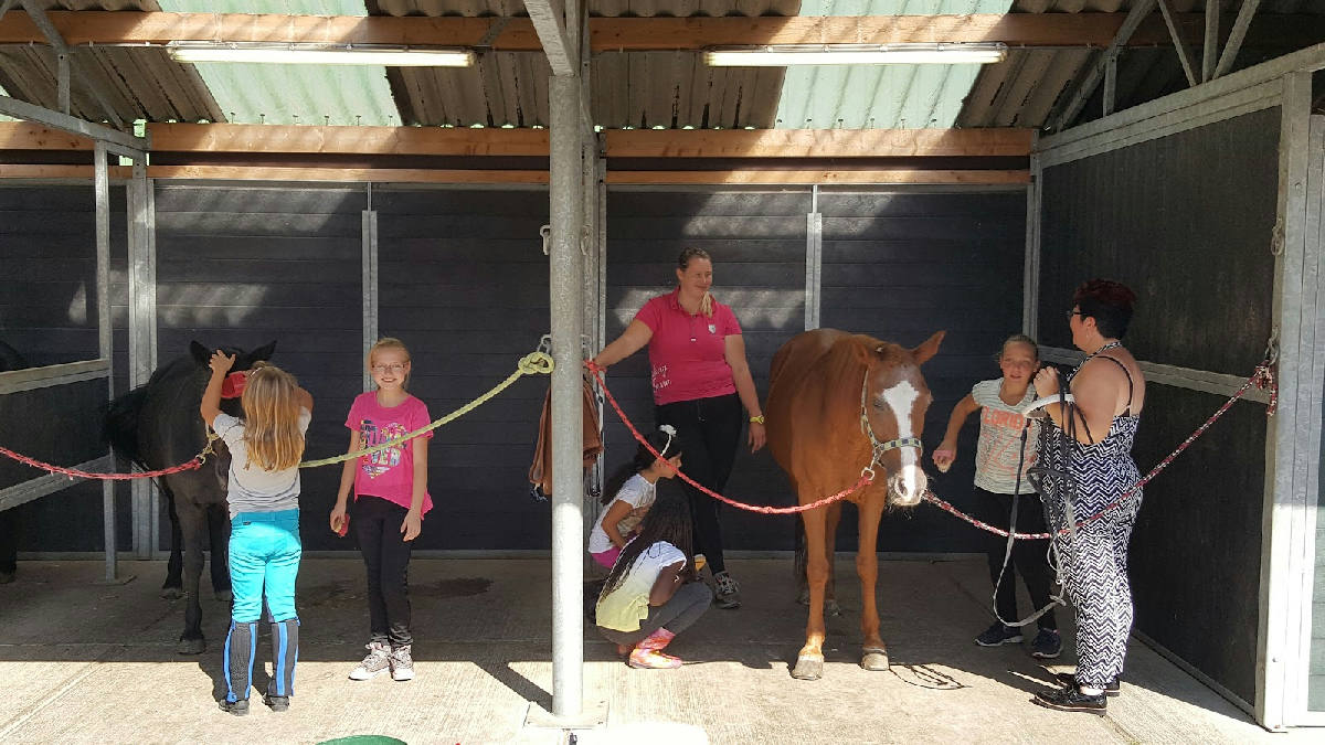 De Dordtsche Manege 3