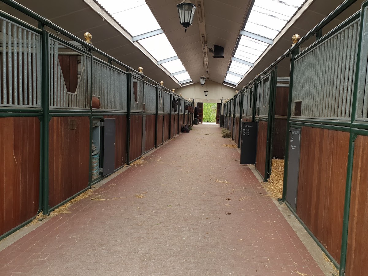 Hippisch Centrum Groenraven 2