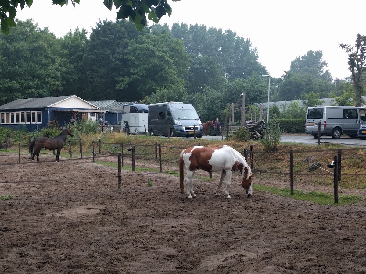 Manege Wittebrug 3