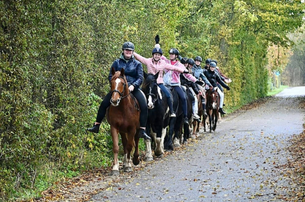 Ponyhof Aagtekerke 2