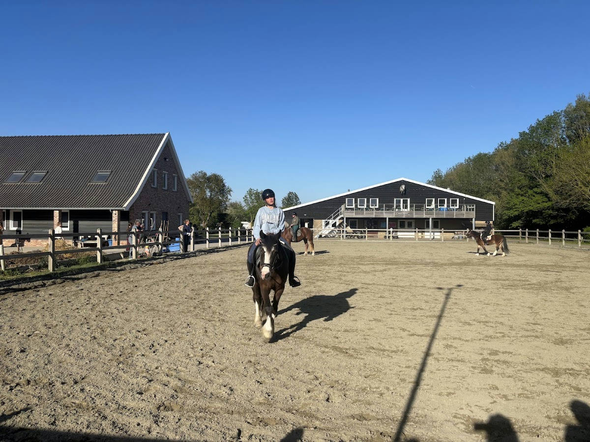 Ponyhof Aagtekerke 3