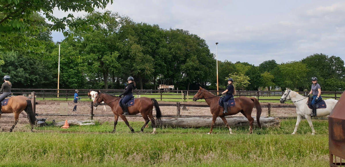 Paardensportcentrum De Kempen 3