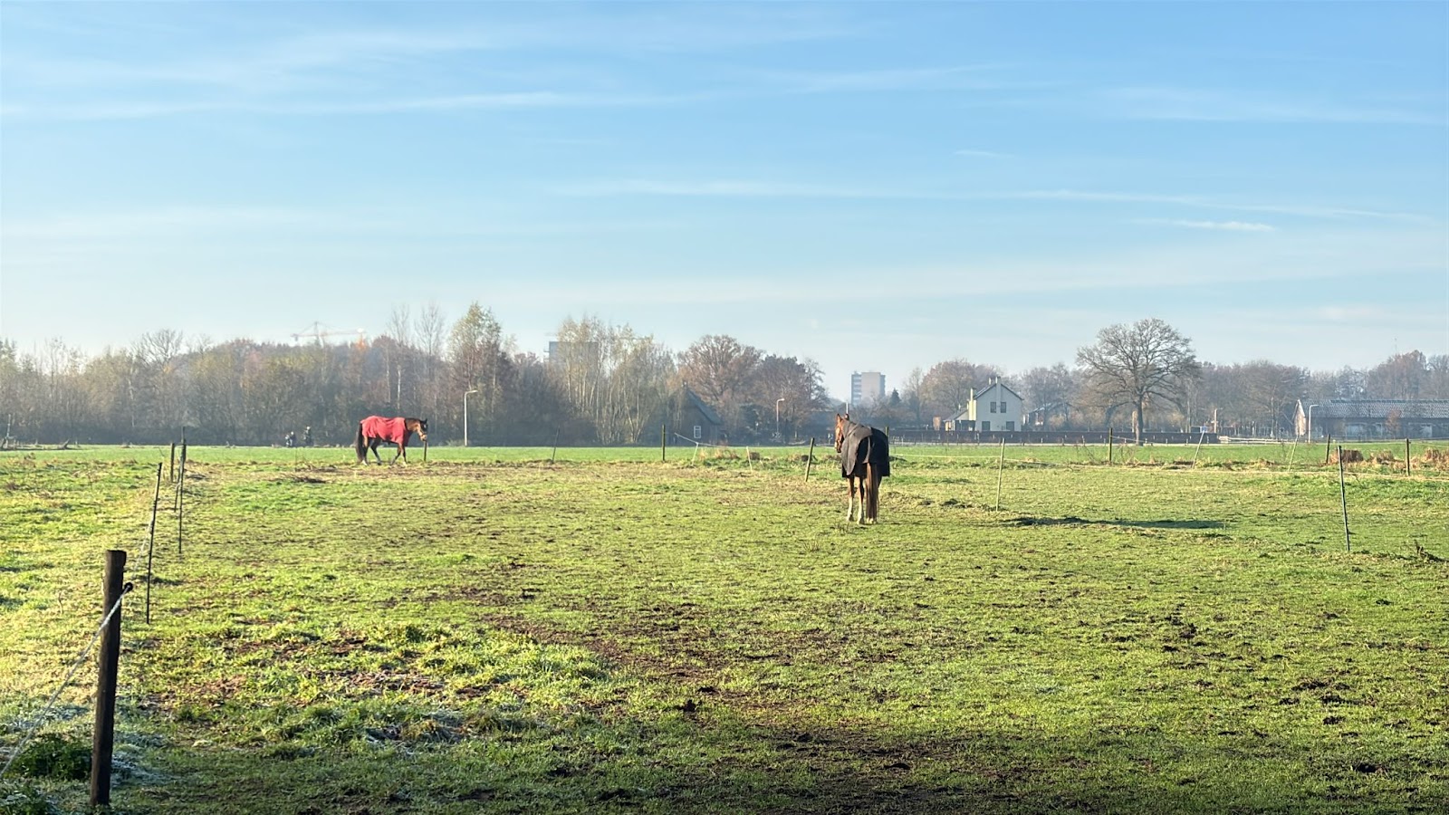Stalhouderij C. Hooijen
