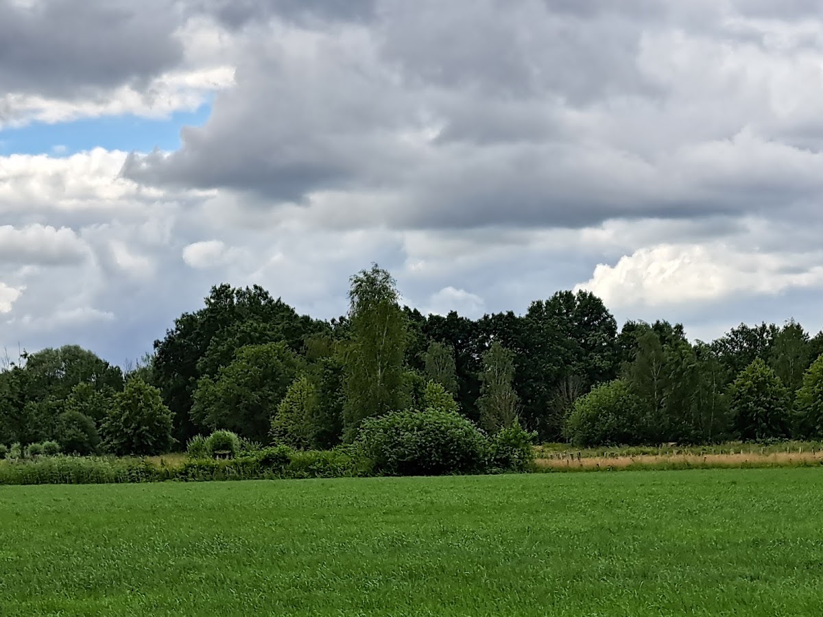 Manege en Huifwagens Hooijen 2