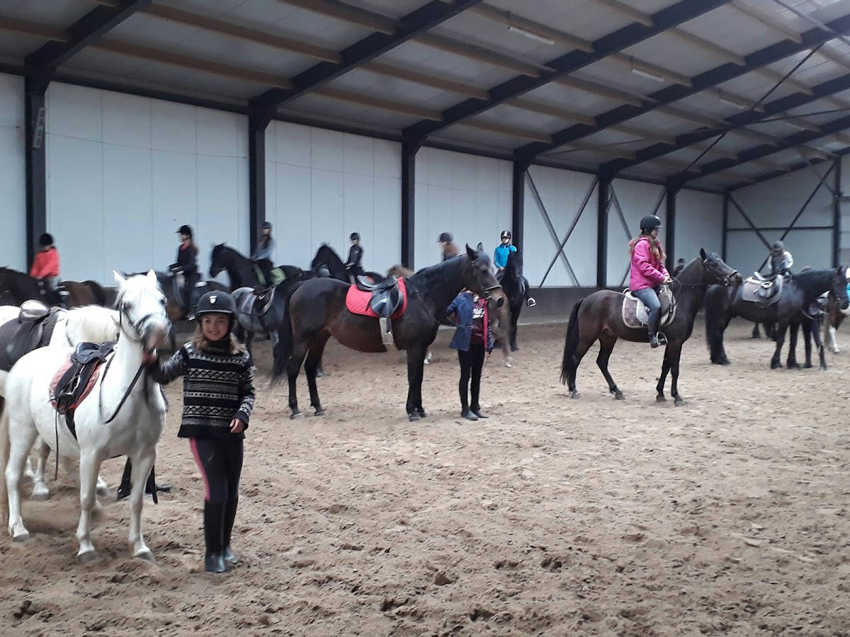 Manege de Boschhoeve