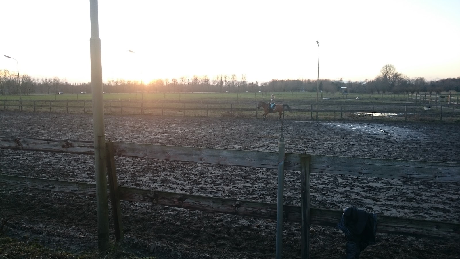 Stal Heerendonk 3