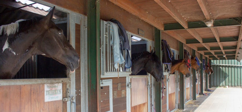 Manege De Horstlinde 2