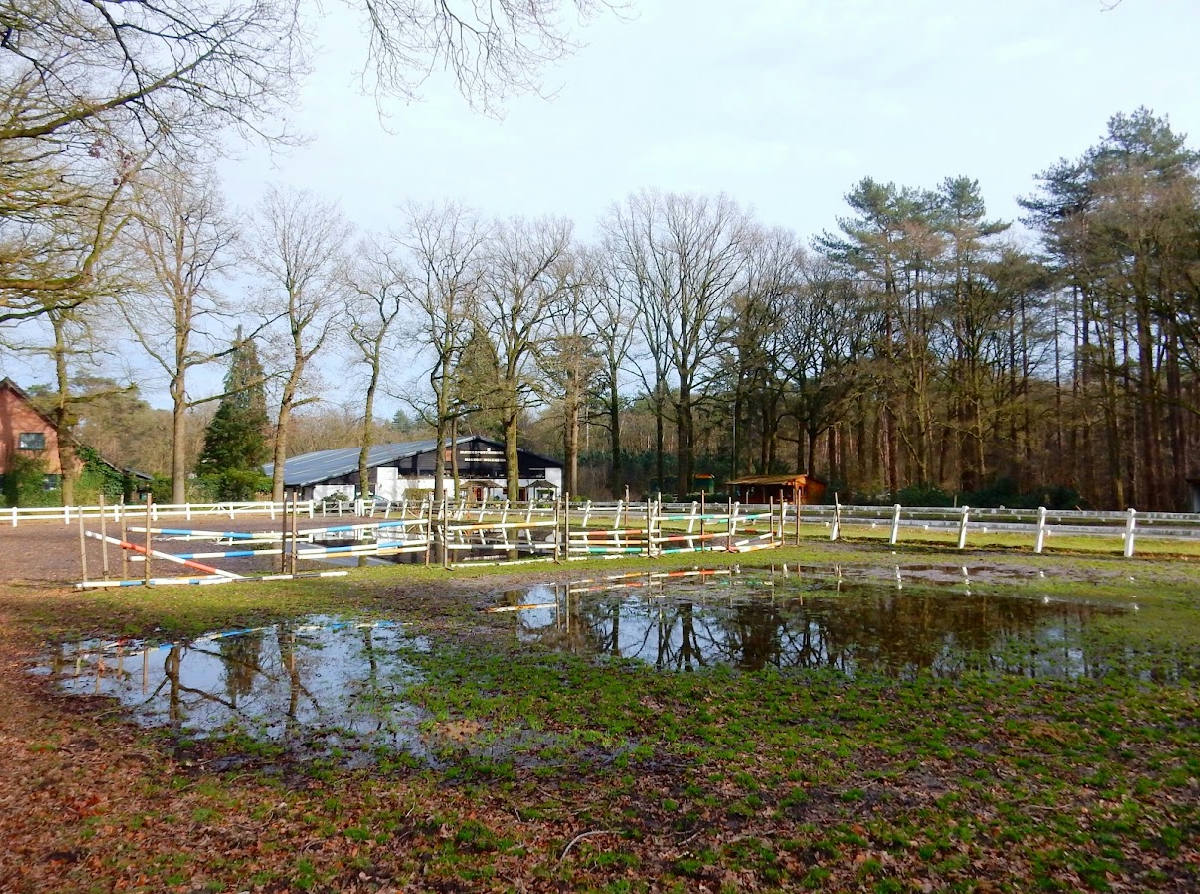 Ruitersportschool Manege Molenzicht 2