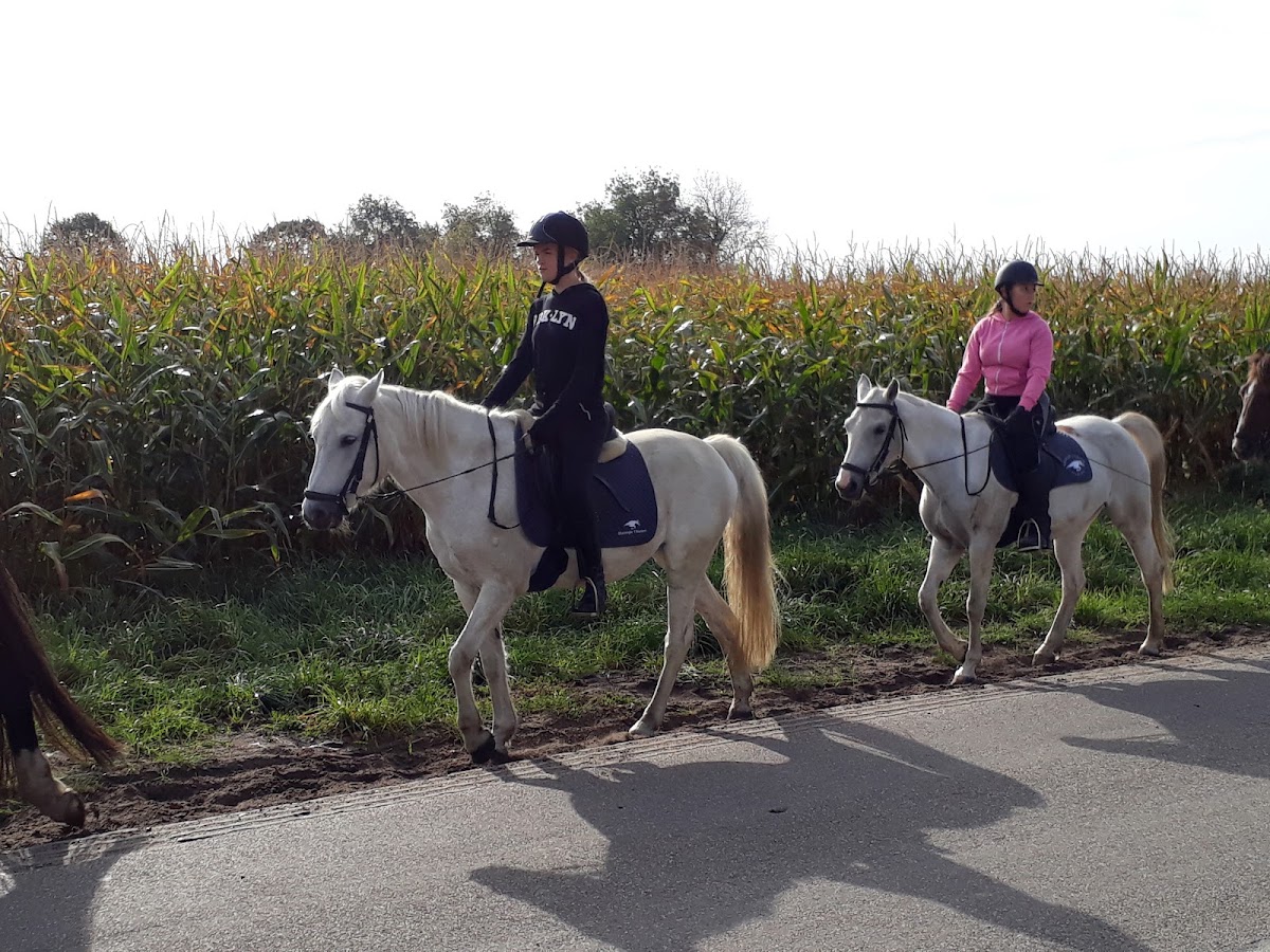 Thielen Manege 3