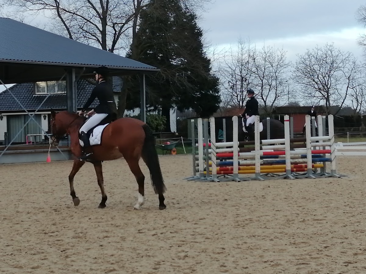 Manege Stal Sintels BV 2