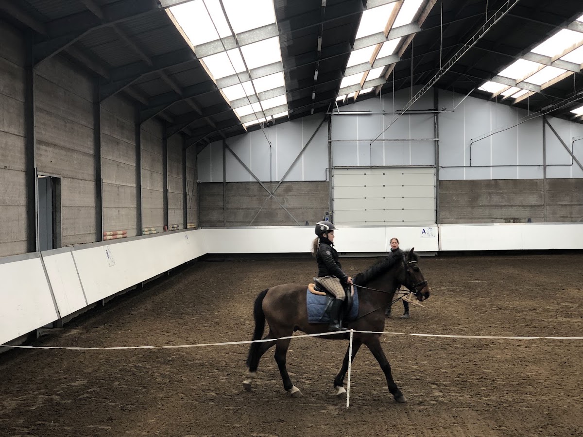Manege Stal Sintels BV 3