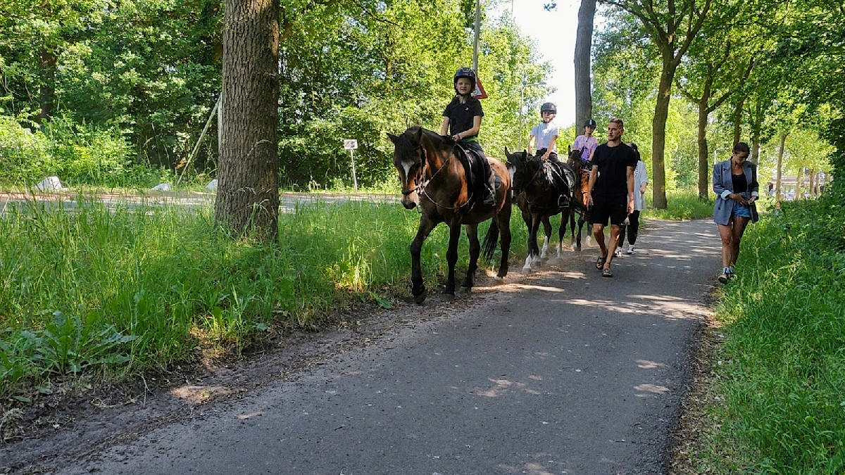 Manege Zwolle 3