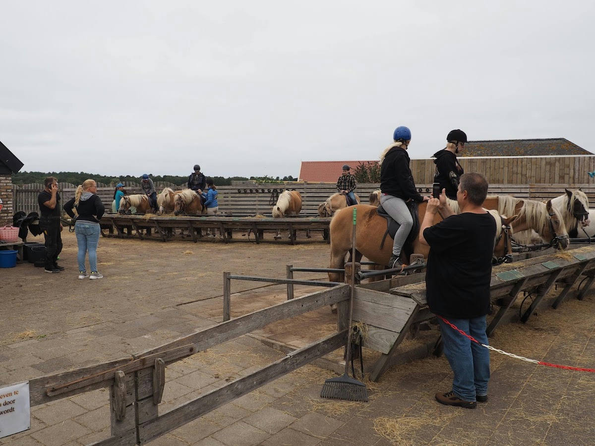 Manege Elzenhof