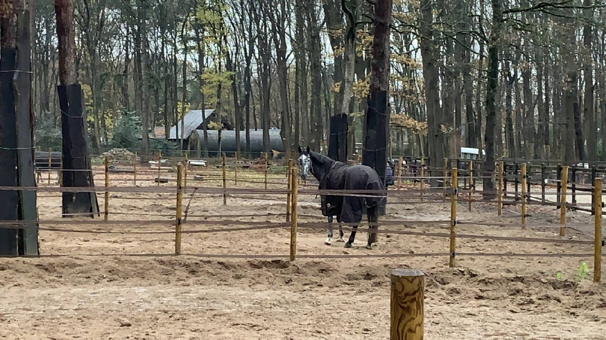 Manege Nieuw Eldorado 2