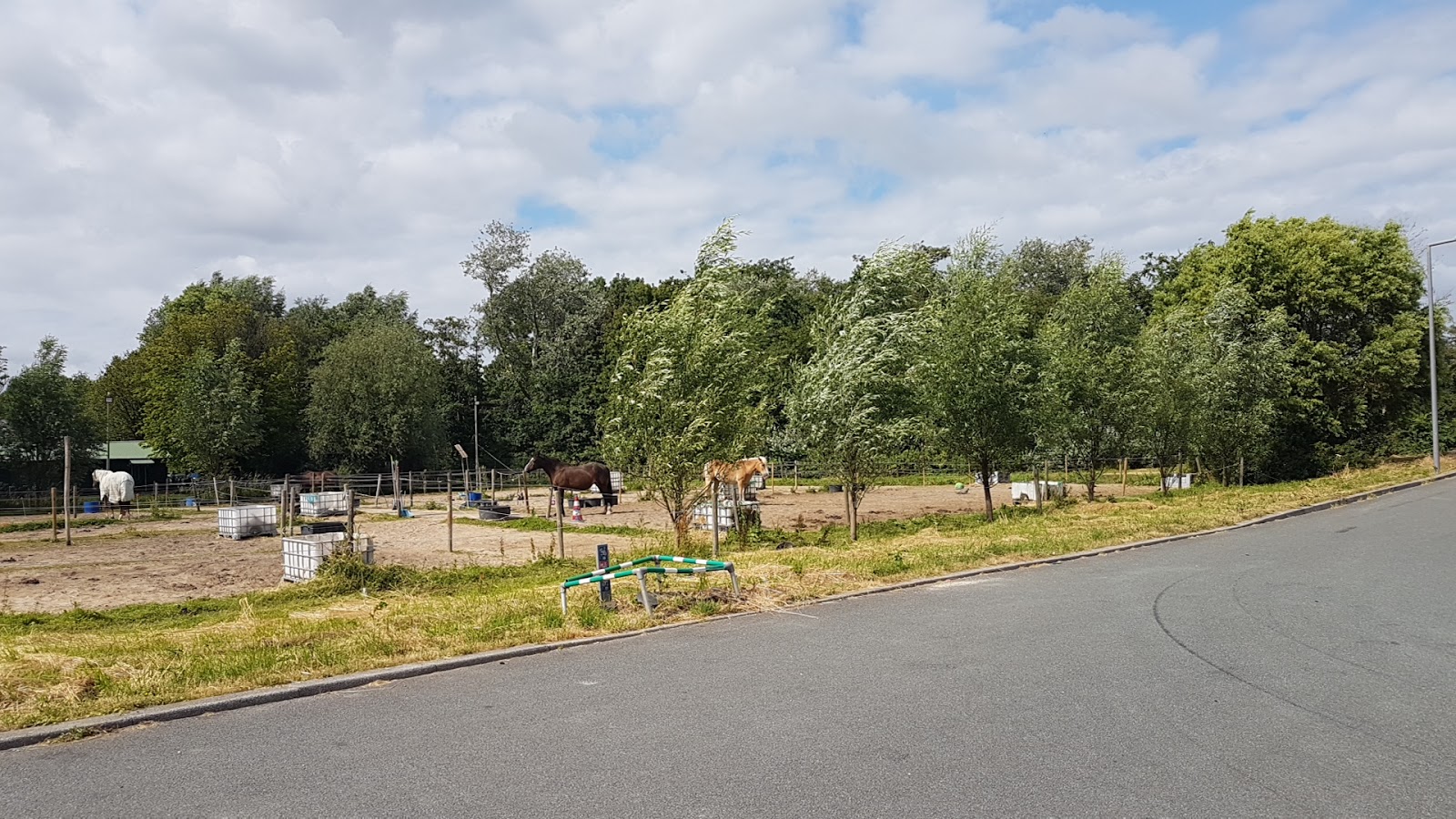 Pony Club de Schieruiters en Land. Rijvereniging Schiebroek 2