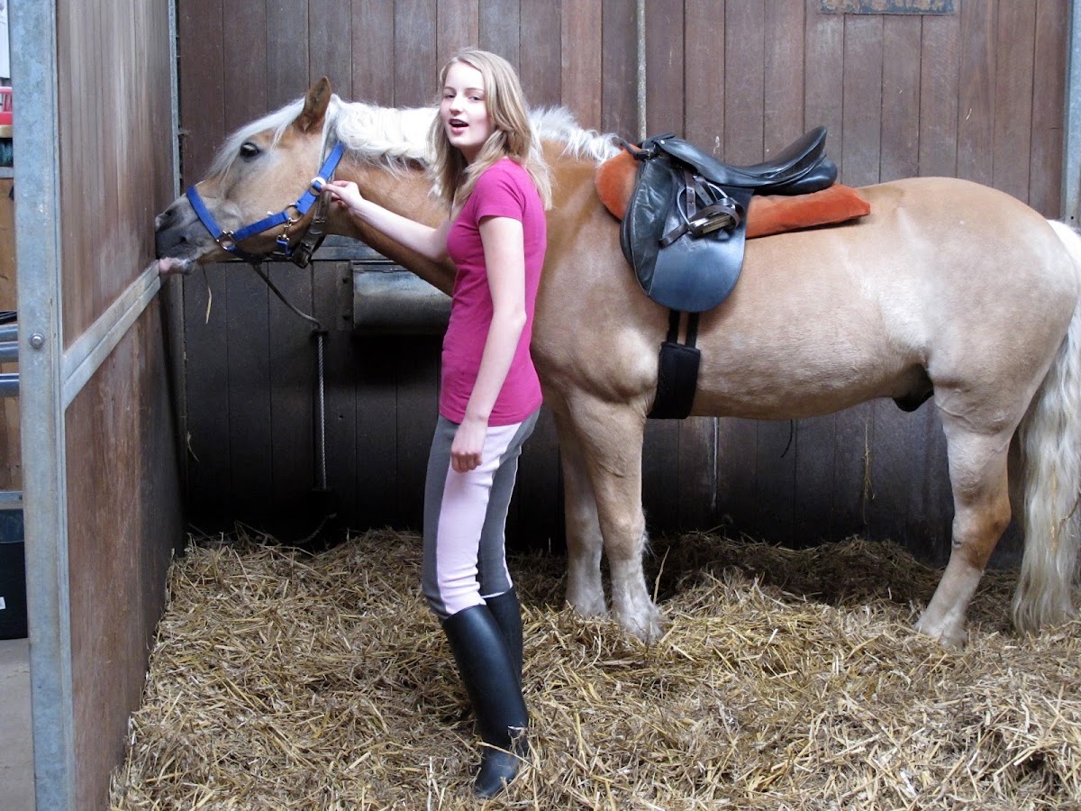 Almeersch Hippisch Centrum 3
