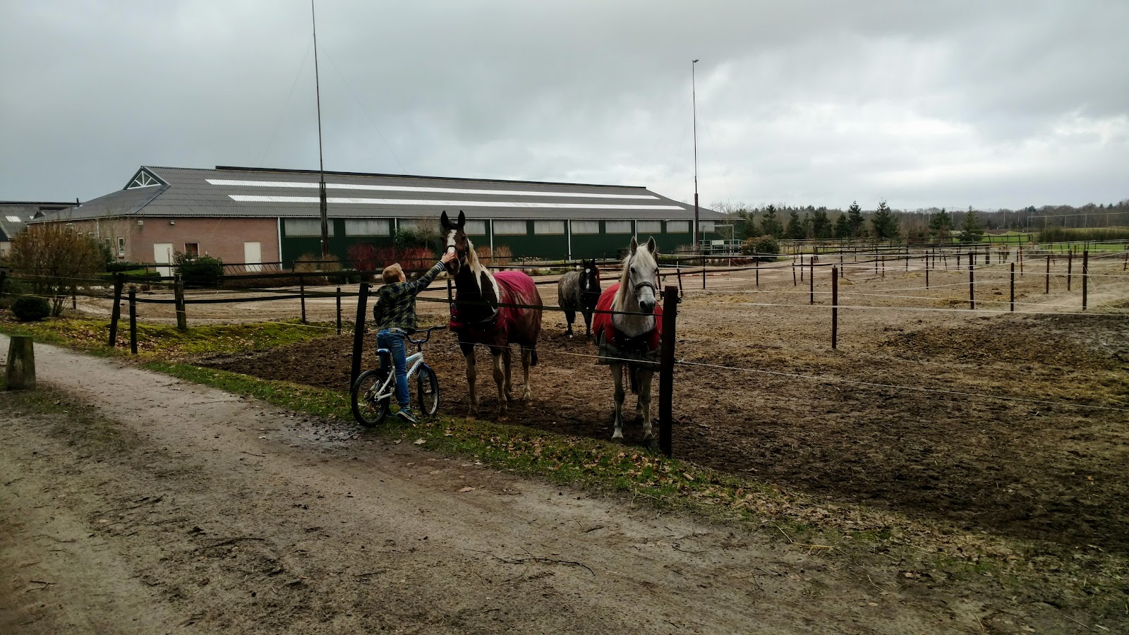 Balemans Ruitersportcentrum 🐎 3